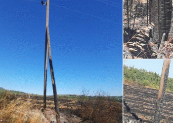 Dëmtohen disa asete të KEDS-it nga zjarret e shkaktuara nga pakujdesia