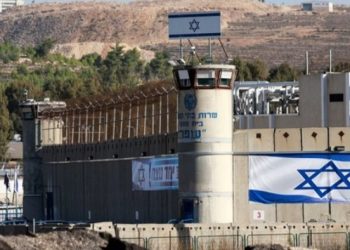 Pa gjumë, tortura me ujë apo sulme nga qentë, raporti i OKB-së: Të paraburgosurit palestinezë janë keqtrajtuar