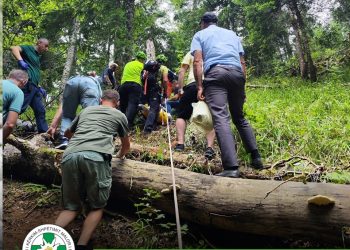 ShKShM jep detaje për aksionin ku u gjet i vdekur 70 vjeçari