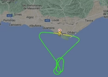 Goditet nga një zog, avioni me 161 pasagjerë bën ulje të detyruar