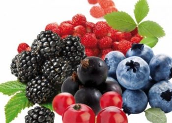 Pse duhet të konsumoni fruta çdo ditë?