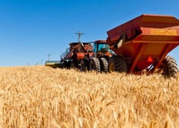 Nis fushata e korrjes së grurit në Ferizaj,fermerët të kënaqur me rendiment