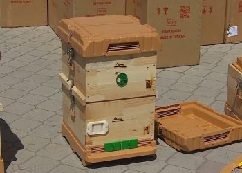 Nga Serbia në Kosovë kontrabandonte koshere bletësh