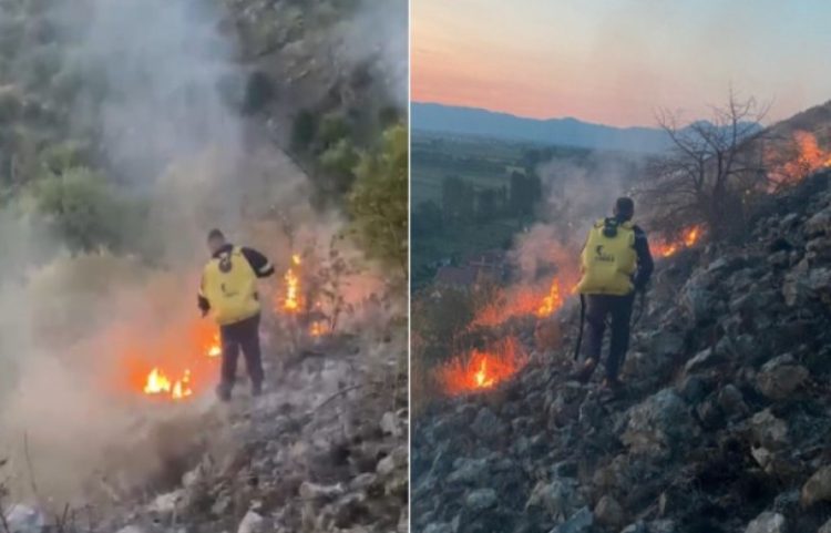 Dy vatra zjarri aktive në Shkodër, era e fortë përkeqëson situatën