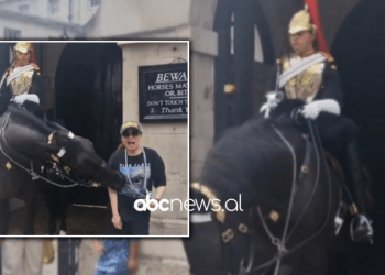 Turistja i afrohet për të bërë foto, por kafshohet nga kali i Rojës Mbretërore(Video)