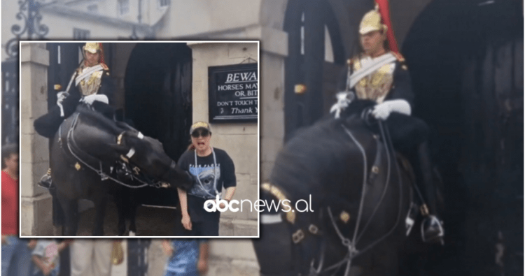 Turistja i afrohet për të bërë foto, por kafshohet nga kali i Rojës Mbretërore(Video)