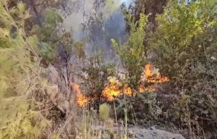 Zjarri jashtë kontrollit te Rana e Hedhun