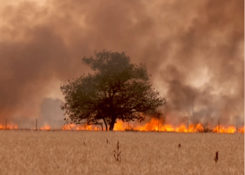 Në rajonin e Prishtinës aktivizohen disa vatra zjarri