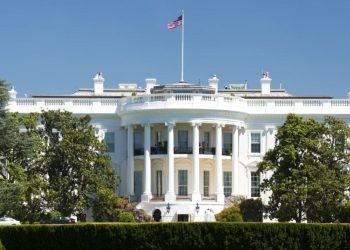 Kthimi i Trumpit apo fitorja e Harrisit? Ballkanin mund ta presin ndryshime