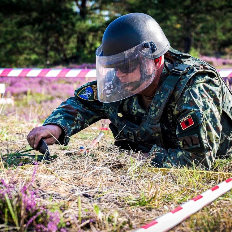 Ushtarët shqiptarë të NATO-s demonstojnë aftësitë në kufi me Rusinë