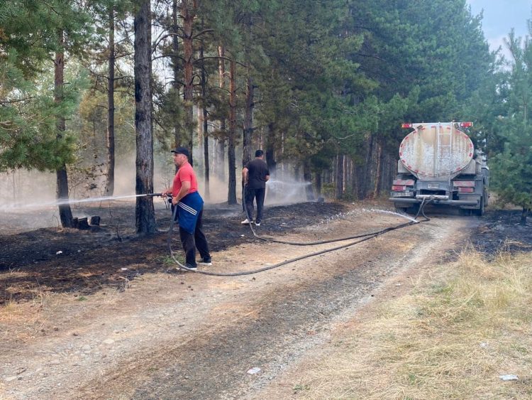 Digjen 17 hektarë tokë dhe pyll në dy fshatra të Podujevës