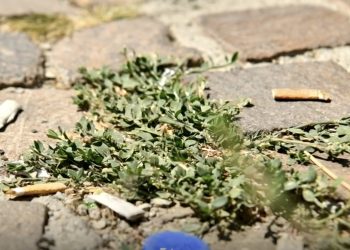 Rrugët e Prishtinës me shumë pluhur, lahen rrallë (VIDEO)