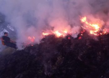 Një pjesë të Parkut Nacional të Sharrit e përfshin zjarri, bëhet thirrje për ndihmë në shuarjen e tij