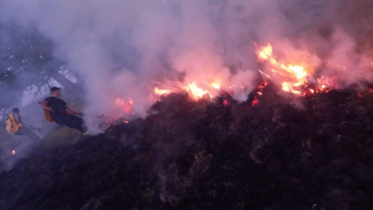 Një pjesë të Parkut Nacional të Sharrit e përfshin zjarri, bëhet thirrje për ndihmë në shuarjen e tij