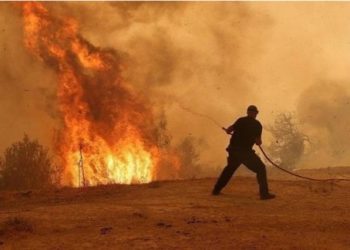 Greqi / Zjarr i madh afër Athinës, evakuohen dhjetëra fshatra