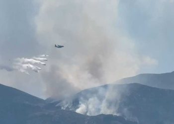 14 vatra zjarri, ende aktive në Shqipëri