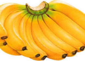 Mund të jenë të rrezikshme: Ja sa banane në ditë mund t’i hamë