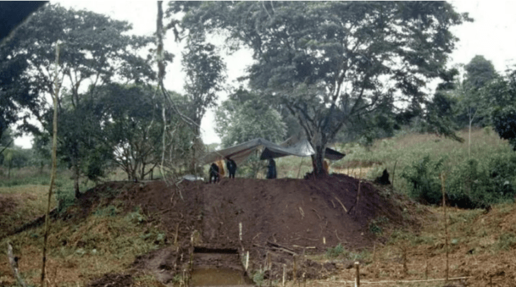 I fshehur për mijëra vjet, gjendet qytet i madh antik i mbuluar nga bimësia në Amazonë