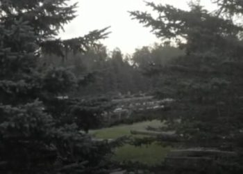 Ukrainasit zgjerojnë kontrollin mbi rajonin e Kurskut