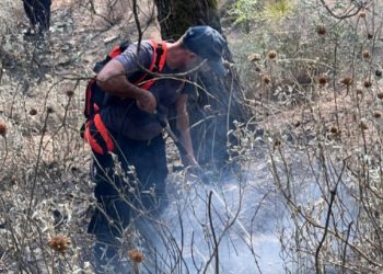 Ministria e Mbrojtjes: 9 vatra aktive, asnjë rrezik për zonat e banuara