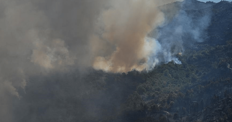 Portugali, zjarret ‘shkrumbojnë’ ishullin turistik