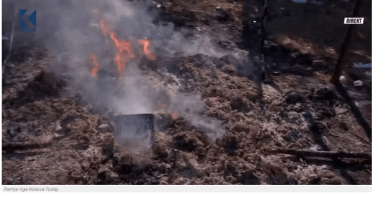 Aksioni i madh në Pejë: Digjet një sasi e kanabisit, dyshohet për një të arrestuar