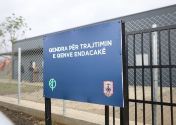 Hapet qendra për trajtimin e qenve endacakë