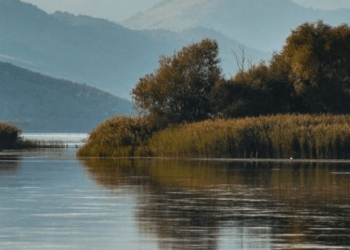 Mb*ytet një 18-vjeçar në lumin Buna