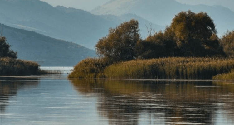 Mb*ytet një 18-vjeçar në lumin Buna