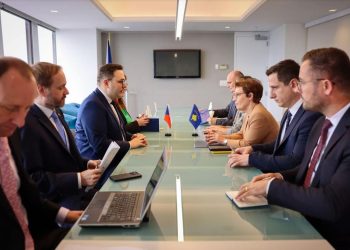 Gërvalla me homologun çek bisedojnë rreth thellimit të bashkëpunimit