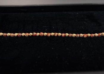 Gjerdani 2.700-vjeçar i ekspozuar në muzeun e SHBA-së i kthehet Turqisë