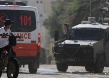 Izraeli v*ret aktivisten amerikane në Bregun Perëndimor të pushtuar