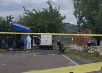 Vri*ten xhaxha dhe nip, autori vetëdorëzohet në Polici