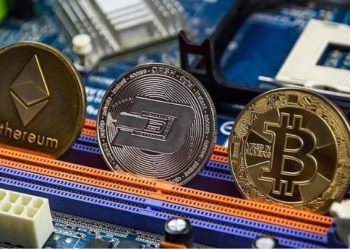 Bitcoin dhe kriptovalutet e tjera bien pasi Trump dhe Harris nuk ofruan zotime në debat
