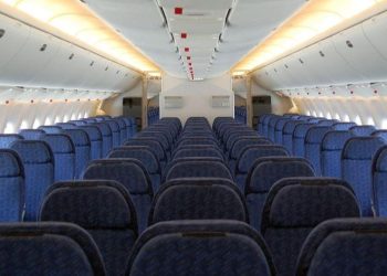  Pasagjeri gjeti një brejtës brenda ushqimit, avioni bën uljen emergjente