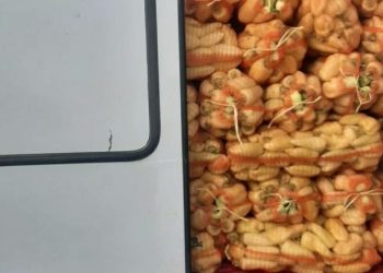 Tentoi të fuste nga Serbia dardha dhe speca, ndalohet i dyshuari dhe konfiskohen mallrat