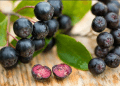 Aronia, fruti medicinal më i pasur me antioksidantë, zgjidhje për diabetin