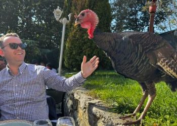 Qurani ‘mysafir’ në tavolinë të Pecit