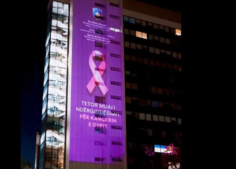 Ndriçohet godina e Qeverisë për tetorin rozë