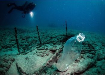Bakteret e ujërave të zeza mund të jenë zgjidhje për problemin e plastikës në natyrë