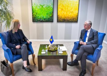 Bislimi takohet me Zhivkoviq, flasin rreth bashkëpunimit të qeverisë me UNDP-në