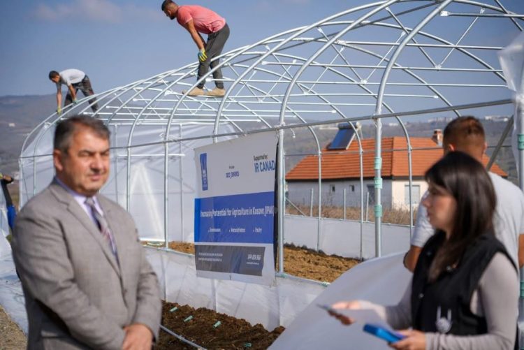 Fermerët e Gjilanit përfitojnë serra në vlerë prej 128 mijë eurove