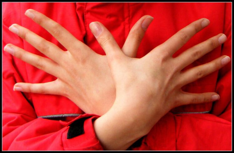 Serbia dëbon dy zviceranë, bënë me duar shqiponjën