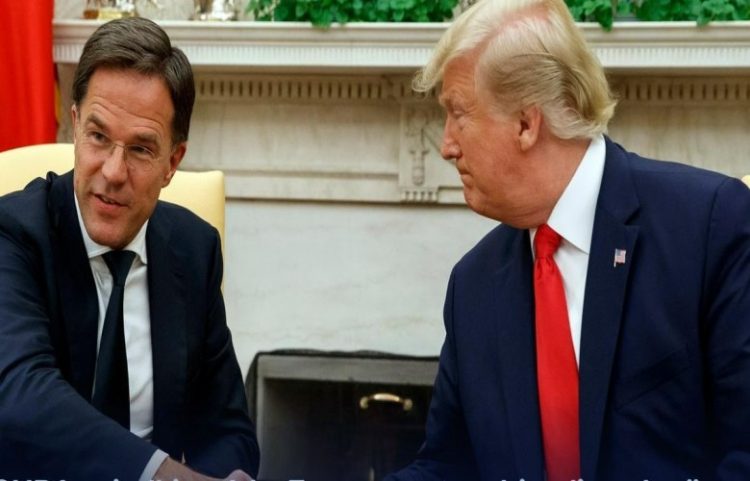 SHBA zgjedhjet: A ka Evropa partner bisedimesh për Trump-in?