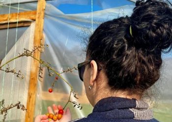 Momente vjeshte në fshat, e diela e presidentes me familje