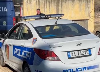 Shqipëri: Policia identifikon 16-vjeçarin që bënte kërcënime në TikTok