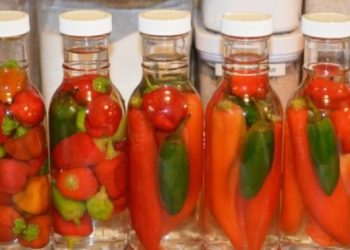 Zbuloni si të përgatisni uthullën pikante për imunitetin