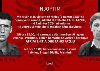 Me 2 nëntor bëhen homazhe për heronjtë e kombit, Afrim Zhitia e Fahri Fazliu