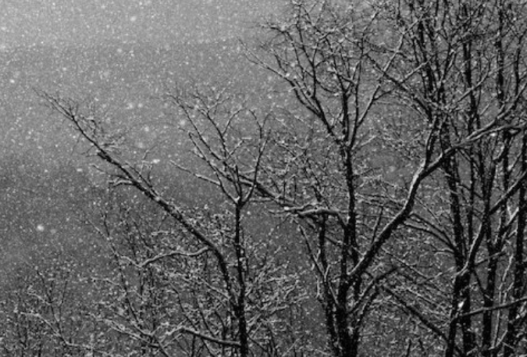 Moti sot me vranësira, reshje shiu e bore