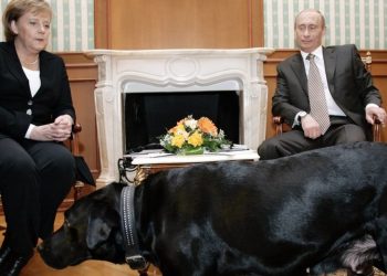 Kujtimet e Merkel në ‘liria’, Putin e mohon: Nuk ia kam vërsulur labradorin koni